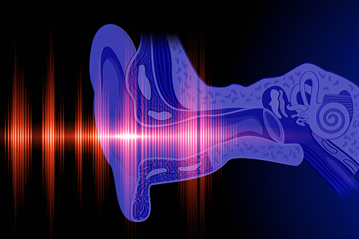 bagian telinga dalam dan fungsinya