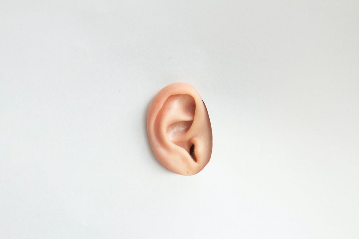 fungsi telinga dalam