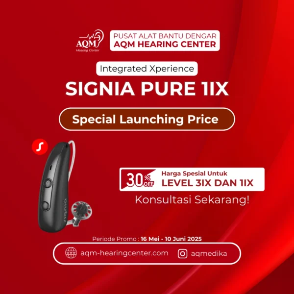 Signia Pure Charge&Go 1IX