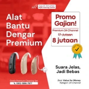 BTE Premium G4