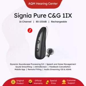 Pure C&G 1IX Signia Pure Charge&Go 1IX