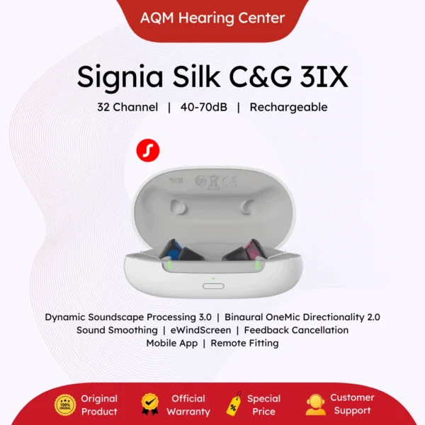 Signia Silk CnG 3IX