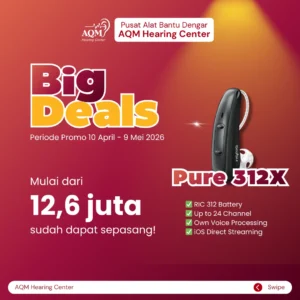 disc 50 (3) Signia Pure 312 1X